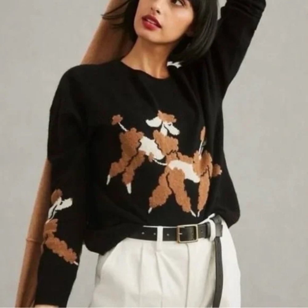 Anthropologie Black and Brown Sweater